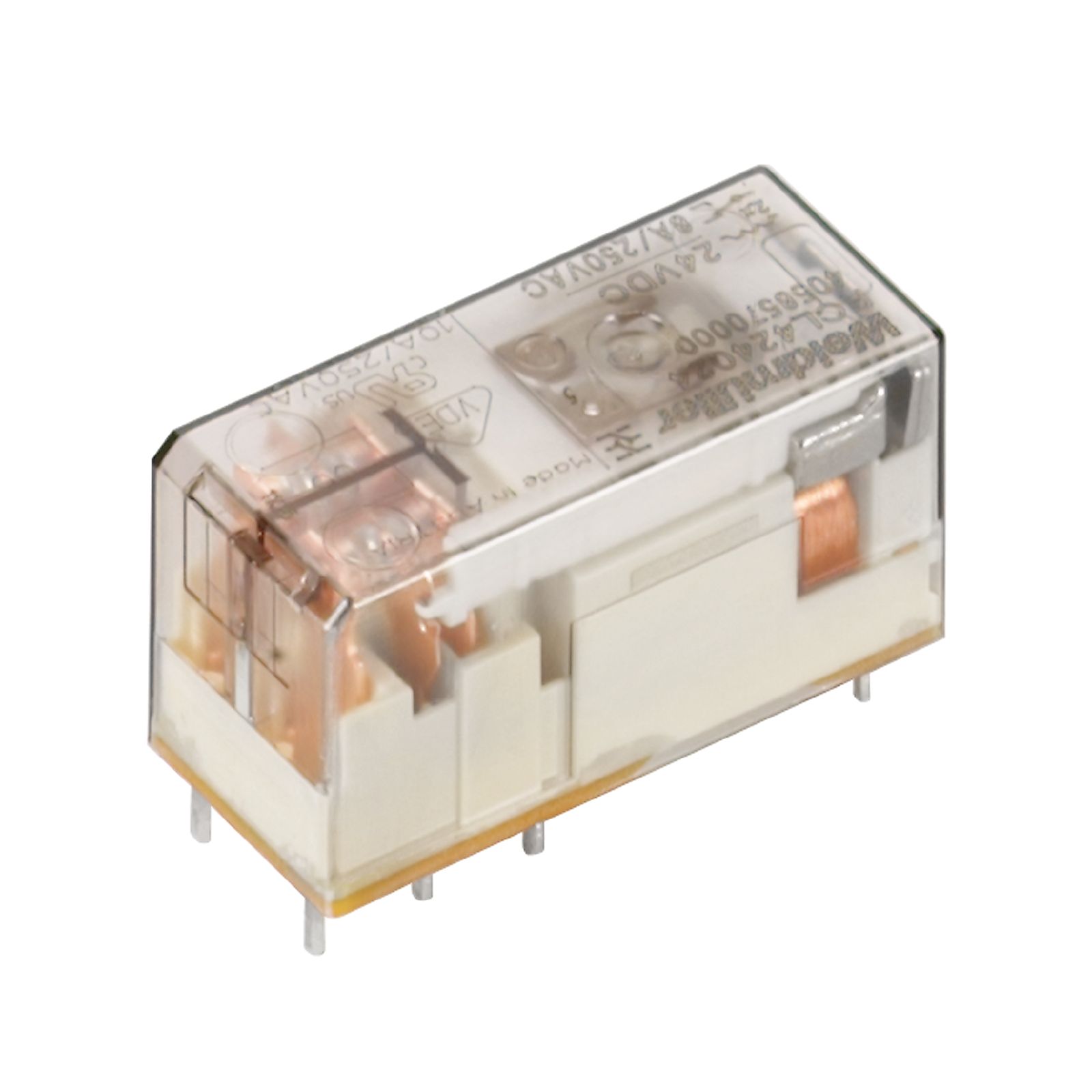 RCL424524 - 4058600000